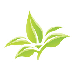 Green Glossy Leaves Icon