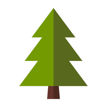 Fir-tree flat icon