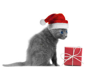 Kitten in santa hat and red gift box, isolated in white