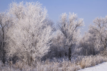 winter view