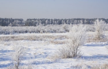 scene