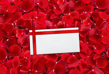 beautiful red rose petals background and envelop (letter) with r
