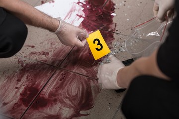 Working at the crime scene
