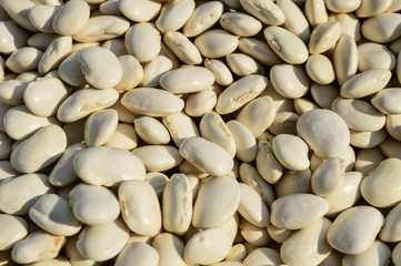 beans. many white beans