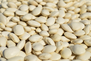 beans. many white beans