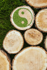 Tree stumps on the grass with ying yang symbol.