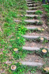 丸太の階段