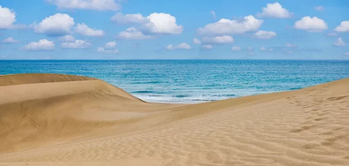 Sand desert dunes and sea