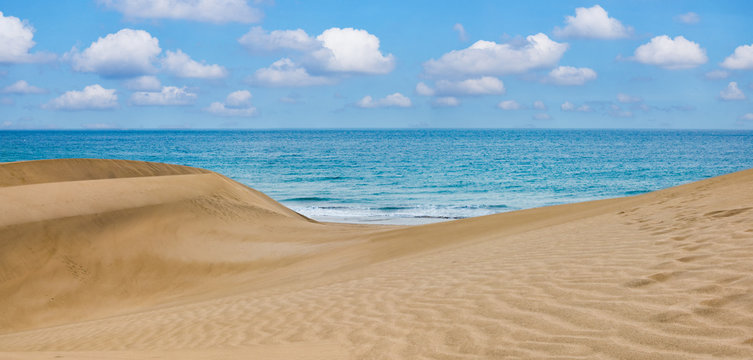 Sand desert dunes and sea