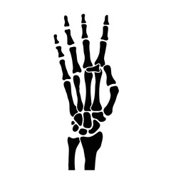 Fototapeta premium hand bones