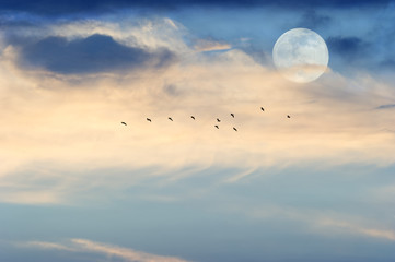 Fototapeta premium Moon Clouds