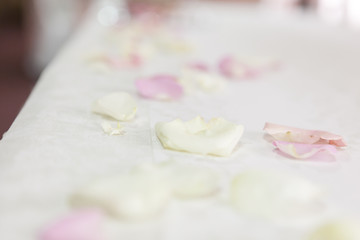 Fototapeta na wymiar Rose petals