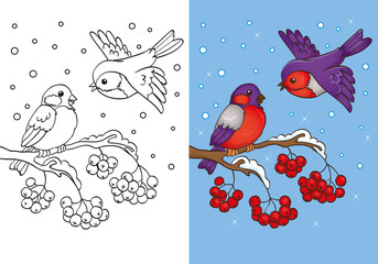 Coloring Book Of Bullfinches Sitting On Branch