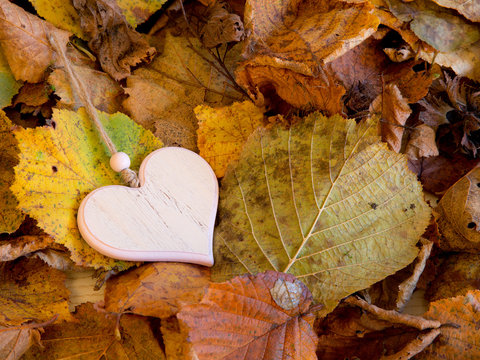 L'autunno nel cuore