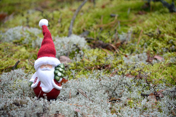 Santa on the moss