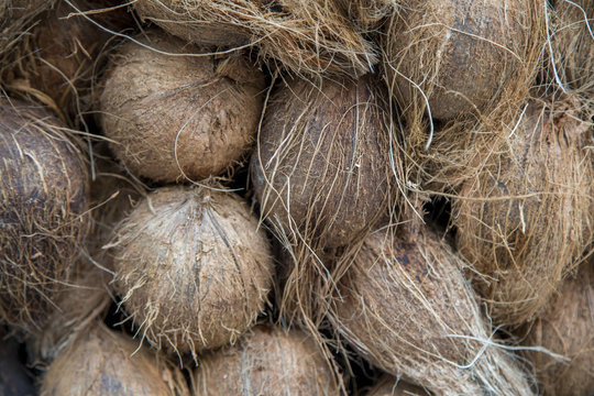 Coconuts on the market