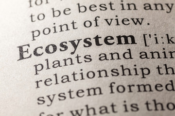 ecosystem