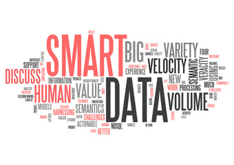 Wordcloud Smart Data