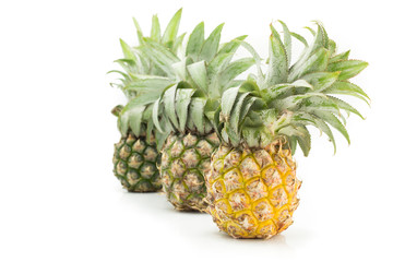 pineapple with slices  on white