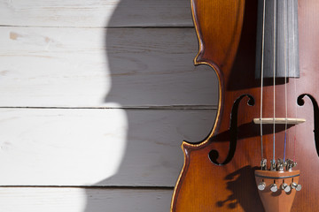 violin