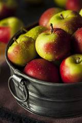 Raw Organic Lady Apples