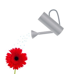 watering can with red flower