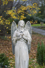 Fototapeta premium Betender Engel