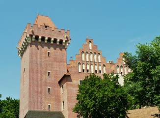 Fototapeta na wymiar Schloss in Posen