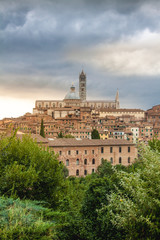 Fototapeta na wymiar Panorama of Siena, Tuscany, Italy with beautiful dome of Siena C