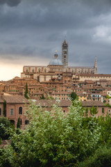 Fototapeta premium Panorama of Siena, Tuscany, Italy with beautiful dome of Siena C