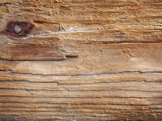 Wood board surface eroded by sea water background, texture,  pat