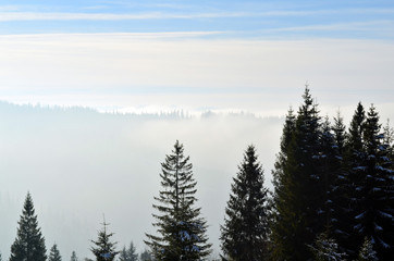 A view from Gorce mountains, Poland