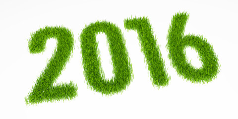 New year 2016 from grass