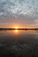 Fototapeta na wymiar beautiful sunrise of the sun on the lake