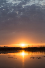Obraz na płótnie Canvas beautiful sunrise of the sun on the lake
