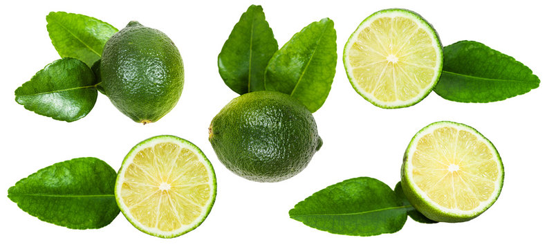 set of fresh green kaffir lime fruits isolated