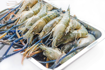 raw river prawn