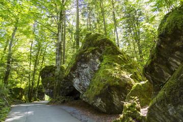 Huge rocks at Blausee or Blue Lake nature park in summer, Kandersteg, Switzerland