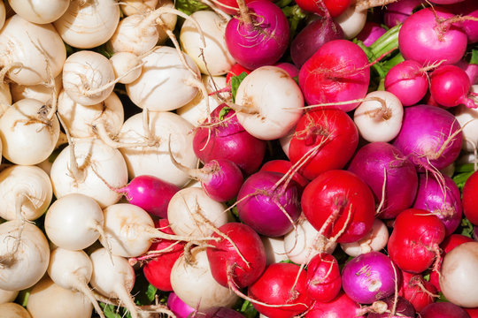 rote und wei&szlig;e Radieschen