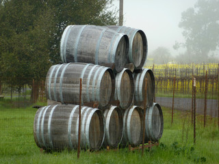 Wine barrels