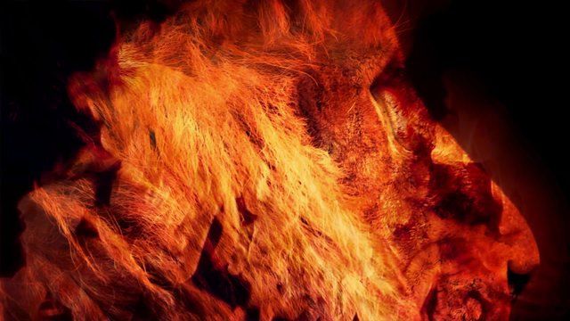 Powerful Lion Face In Fire Abstract