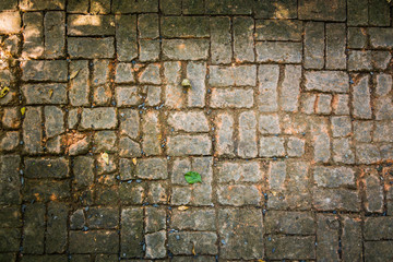 brick pavement