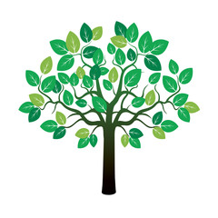 Obraz premium Green Tree. Vector Illustration.
