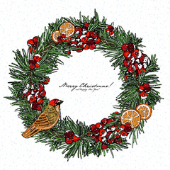 colored Christmas card with wreath, fir branches,citrus, berry on a white background, vector illustration