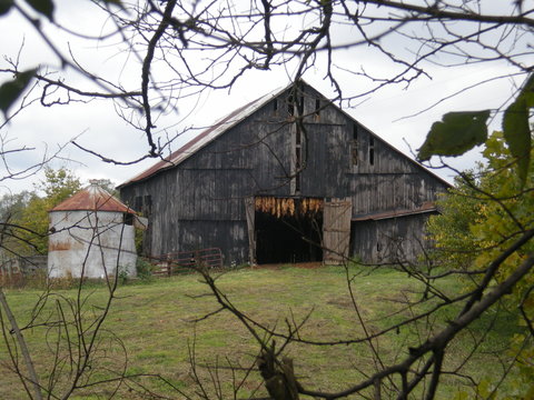 Old barn in distance with branches border