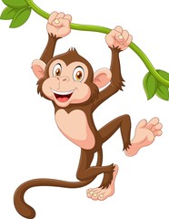 Obraz premium Cute monkey animal hanging on a vine