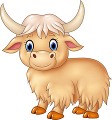 Cartoon cute yak  isolated on white background
