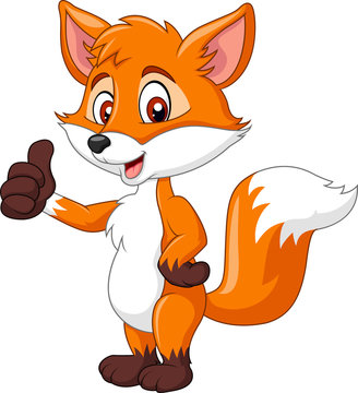 Cartoon funny fox giving thumb up isolated on white background