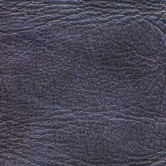 dark violet leather texture closeup