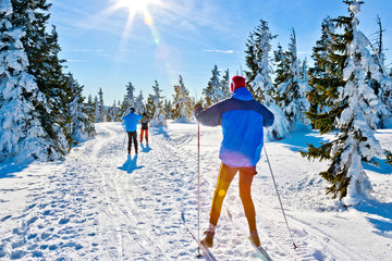 Naklejka premium Krkonose (Giant) mountains, Czech republic